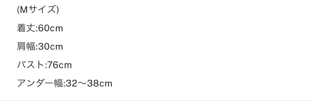 トップス ameri vintage USEFUL BACK SHEER TANK TOP