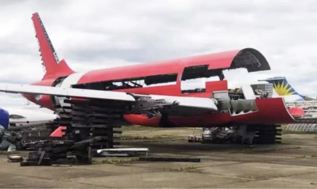 Z2 アジア航空フィリピン Aviator Story A320-232