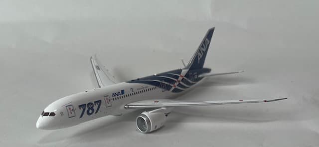ANA B787-8 JA801A サバ塗装