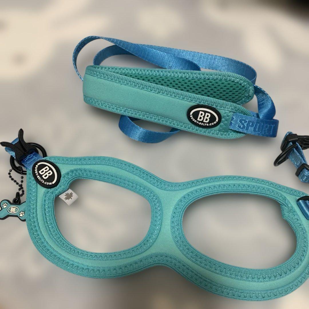 バディベルト　BBスポーツブルー　サイズ3.5 リードセット