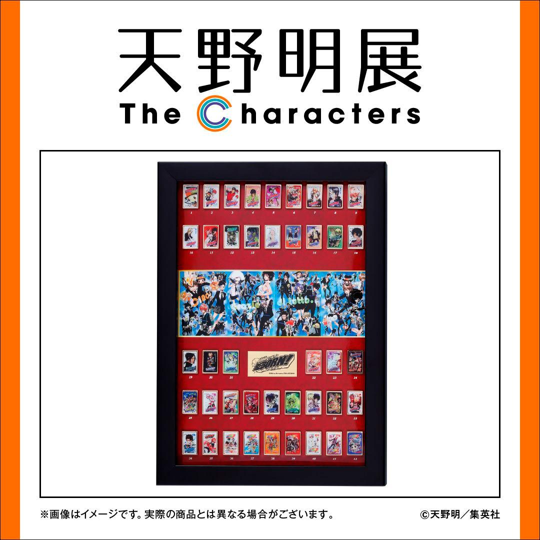 家庭教師ヒットマンREBORN! 天野明展 全巻ピンズセット 綱吉 雲雀 獄寺他