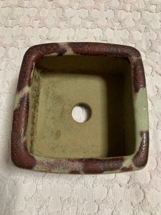 盆栽鉢　原茂 鵬松