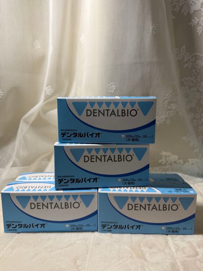 共立製薬 デンタルバイオ 10粒×10シート 6箱