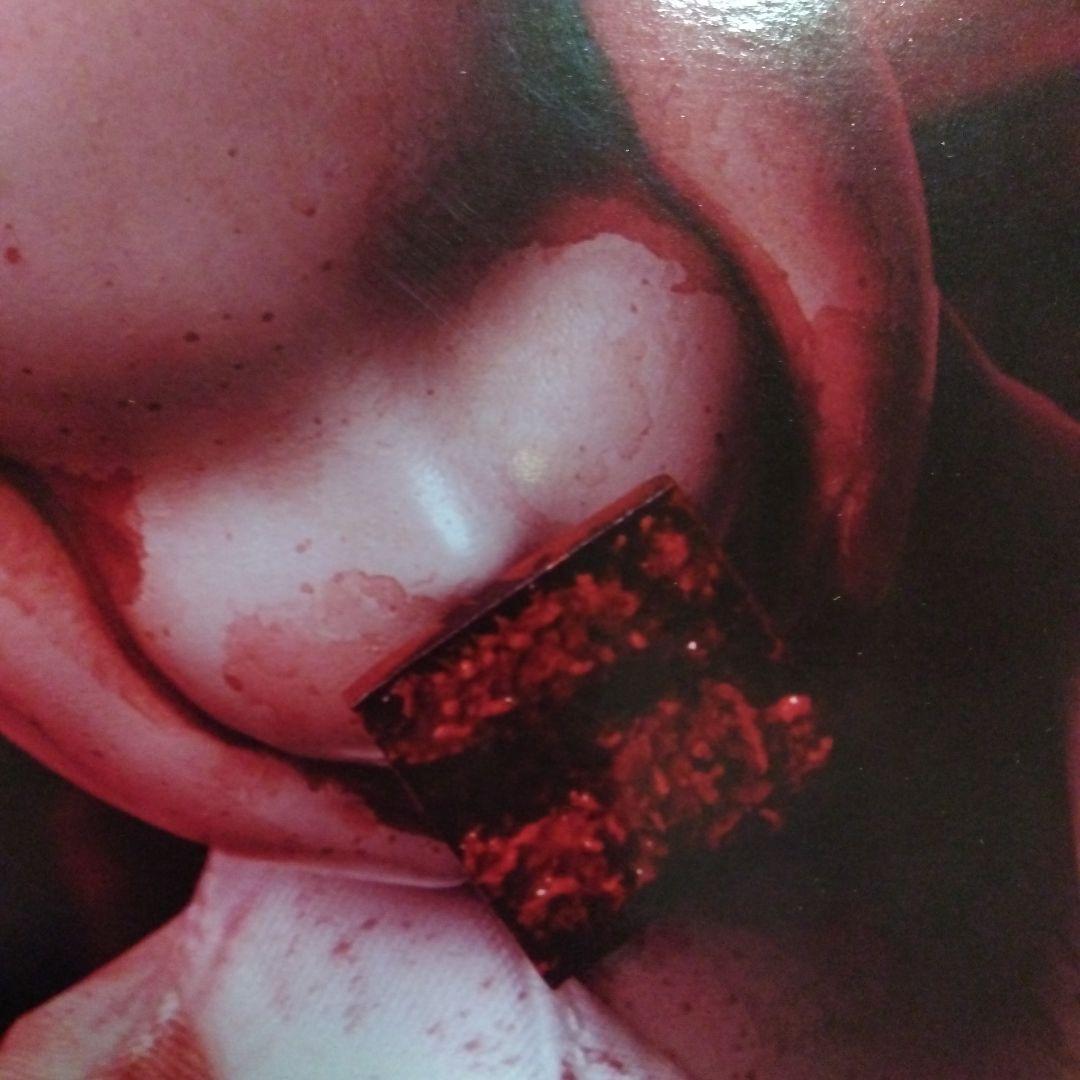 リビングデッドドールズ　サイレントヒル2 バブルヘッドナースフィギュア 開封