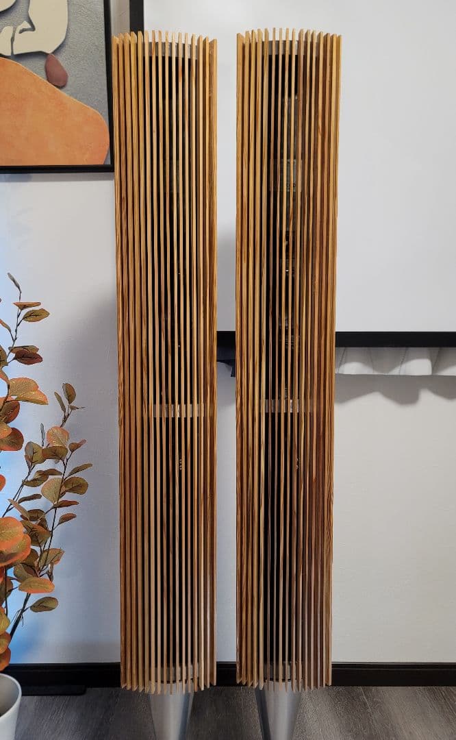 B&O バング&オルフセン BeoLab 8000 スピーカーペア天然木ケース