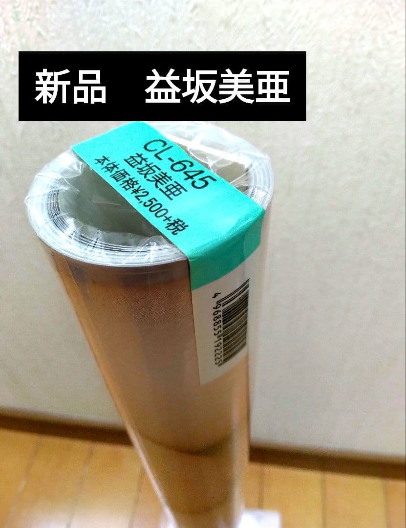 益坂美亜 カレンダー タテ73センチ 特大B2サイズ 8枚構成 2019 未開封