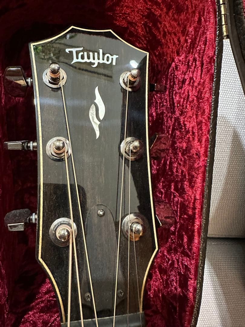 2022年購入Taylor814ce ギター 新品　島村楽器購入　保証書有