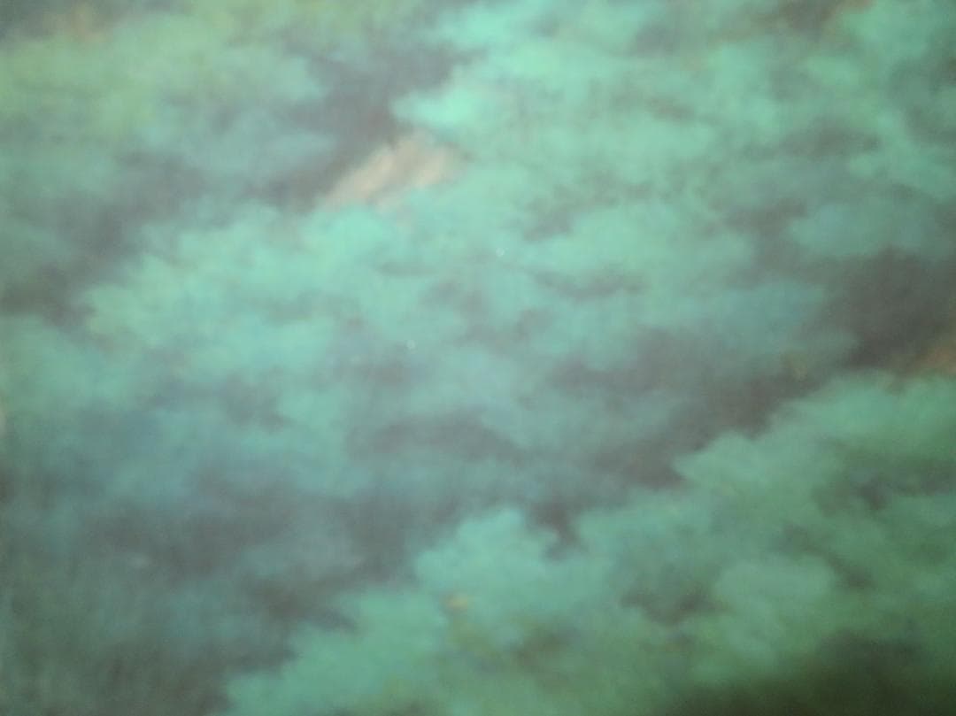 ◆   三輪晁勢　「六甲山」　日本画F10号　日本芸術院賞　師：堂本印象◆