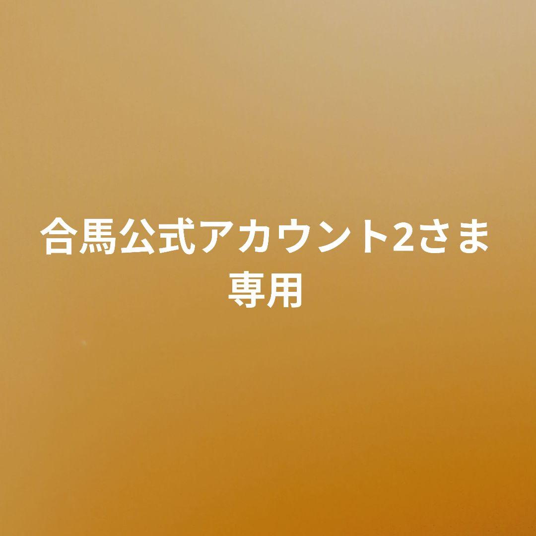 極美品✨COACH コーチ パーティーバッグ スパンコール アクセサリーポーチ