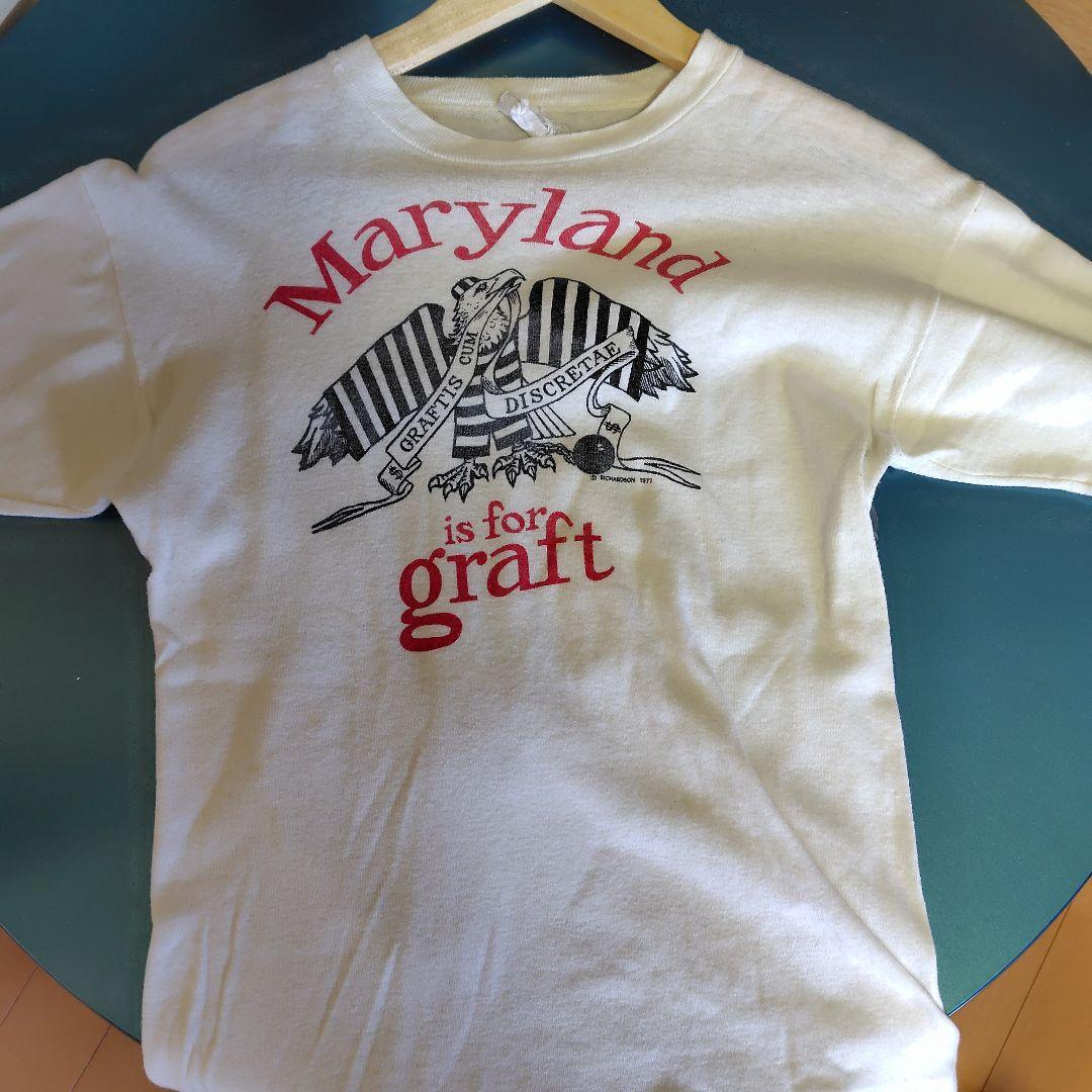 70s 80 染み込みプリント　スペシャルビンテージ　ハーレー