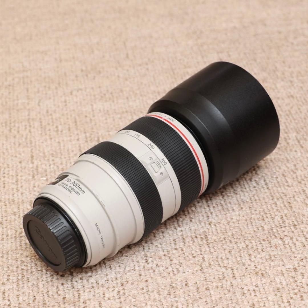 レンズ(ズーム) Canon EF70-300mm F4-5.6L IS USM