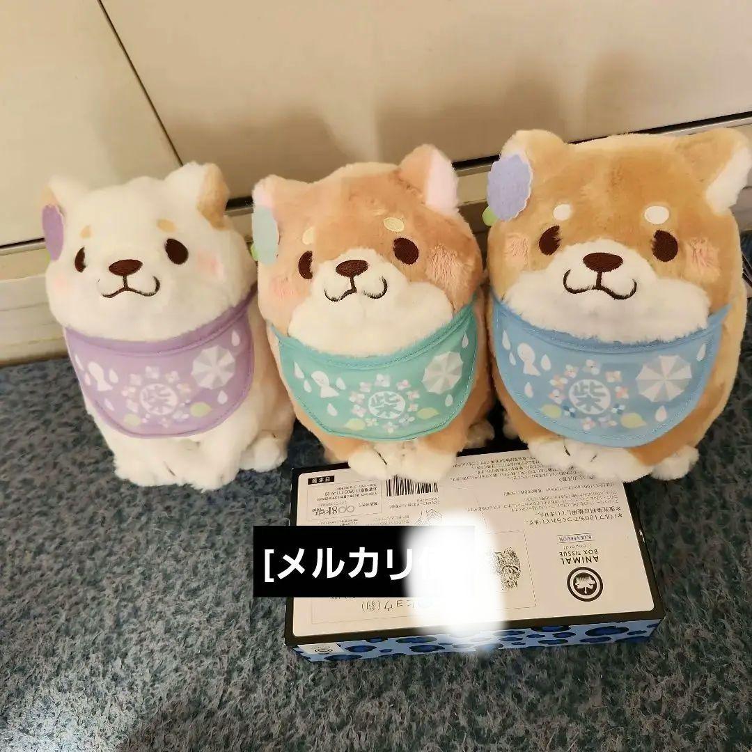 忠犬もちしばぬいぐるみ3個セット