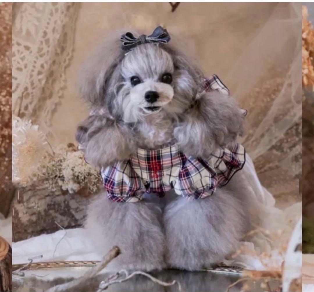 PP closet　チェックワンピース31サイズ