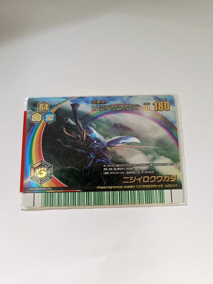 ニジイロクワガタ　美品