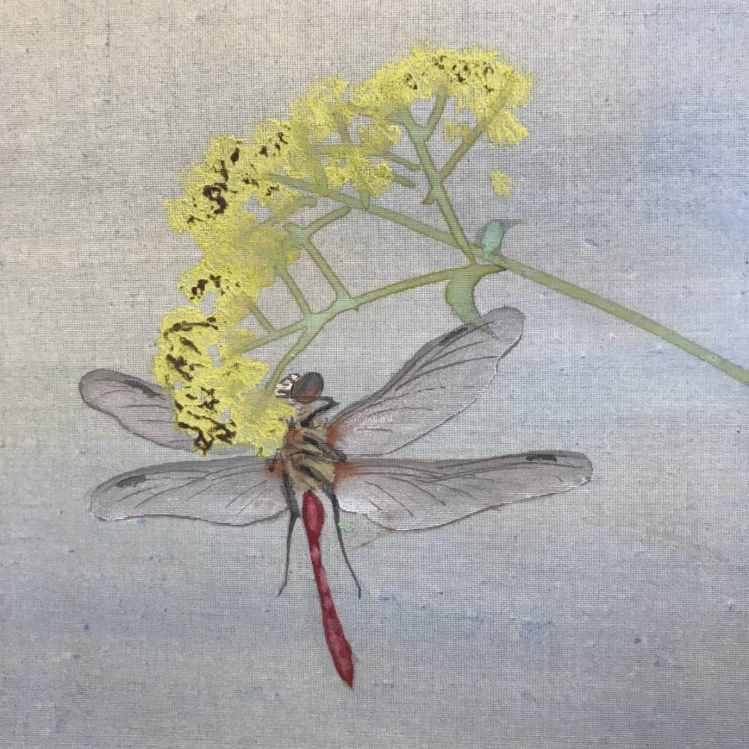 真作/雑喉紅朝/朝顔/オミナエシトンボ図/夏の花図/掛軸/名家伝来/AD-876