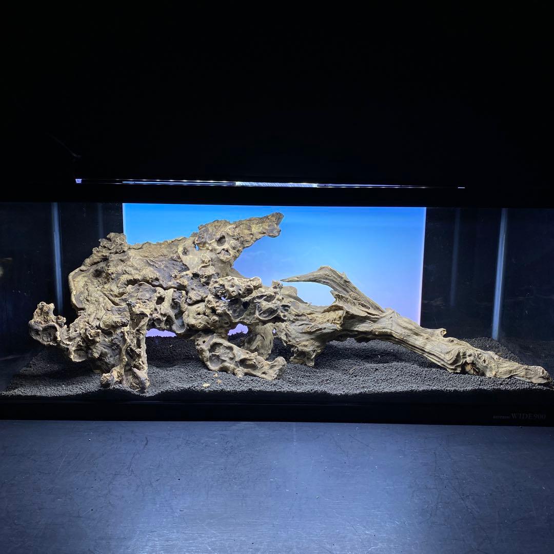 MJW-6434 「特大」ジンジャーウッド　90cm水槽用　天然流木2本セット