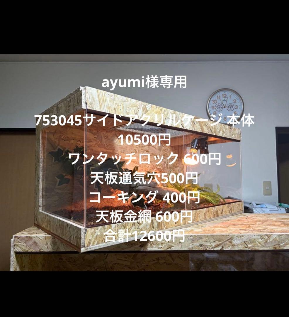 ayumi　753045
