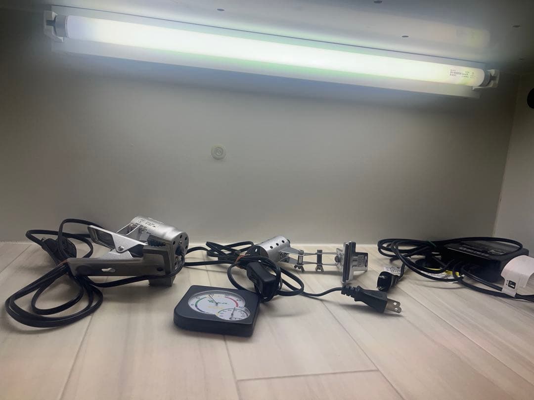 爬虫類　フトアゴヒゲトカゲ　ポポのゲージ　爬虫類ゲージ　お値下相談可