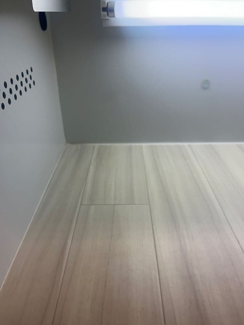 爬虫類　フトアゴヒゲトカゲ　ポポのゲージ　爬虫類ゲージ　お値下相談可