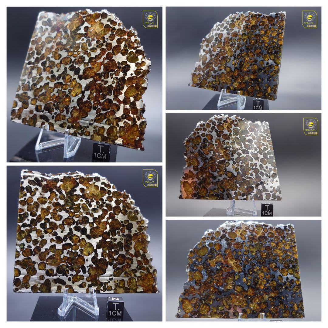 隕石スプリングウォーター パラサイト 91.5g❗ Springwater⭐⭐⭐