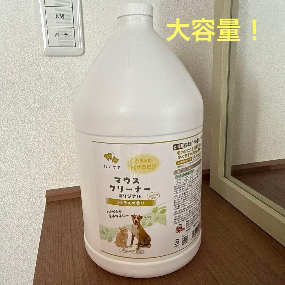 KPS ハノケア マウスクリーナー オリジナル　1Gal(3750ml) ガロン