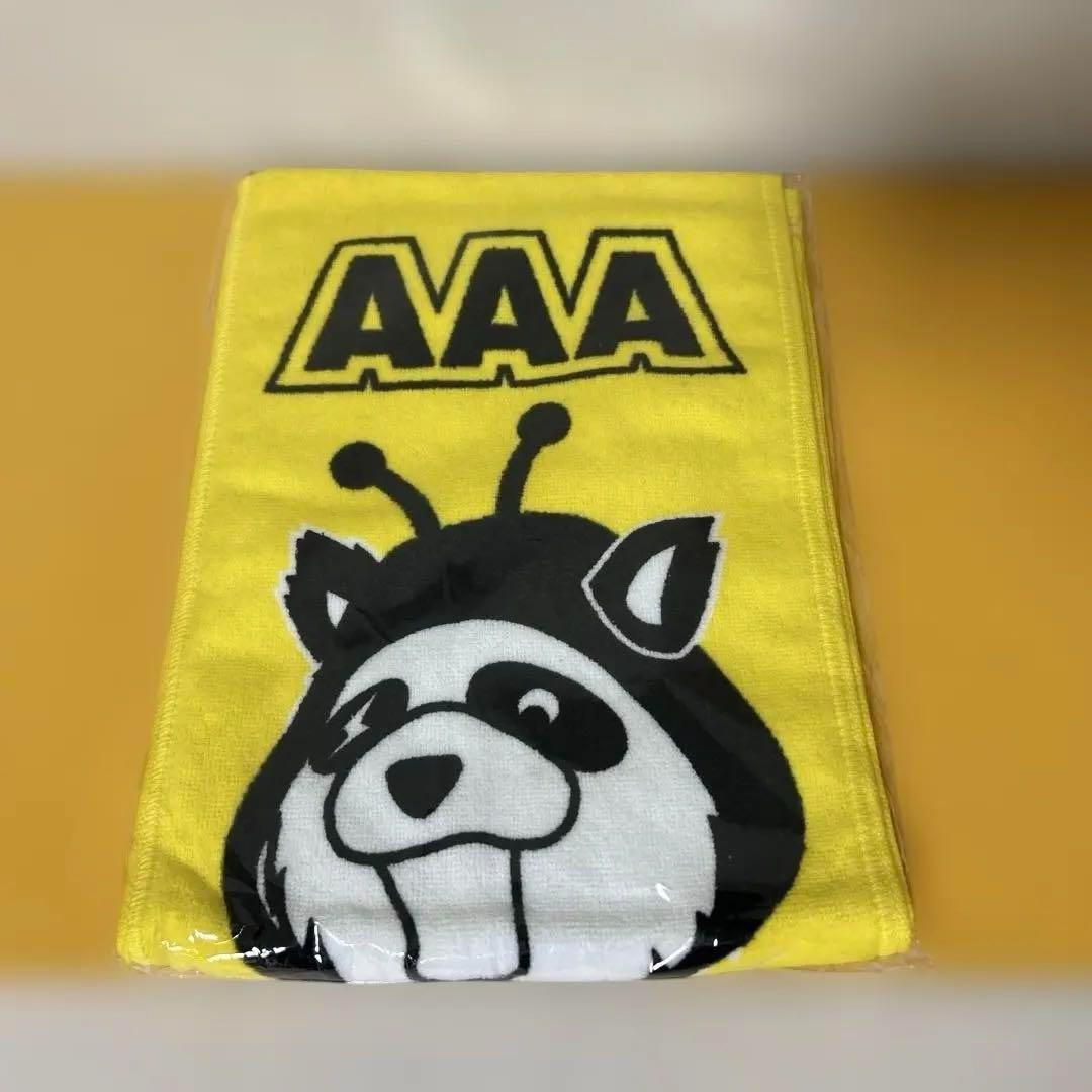 AAAグッズ 15点まとめ売り 「パンフ、ファイル、タオル、Tシャツ、他」