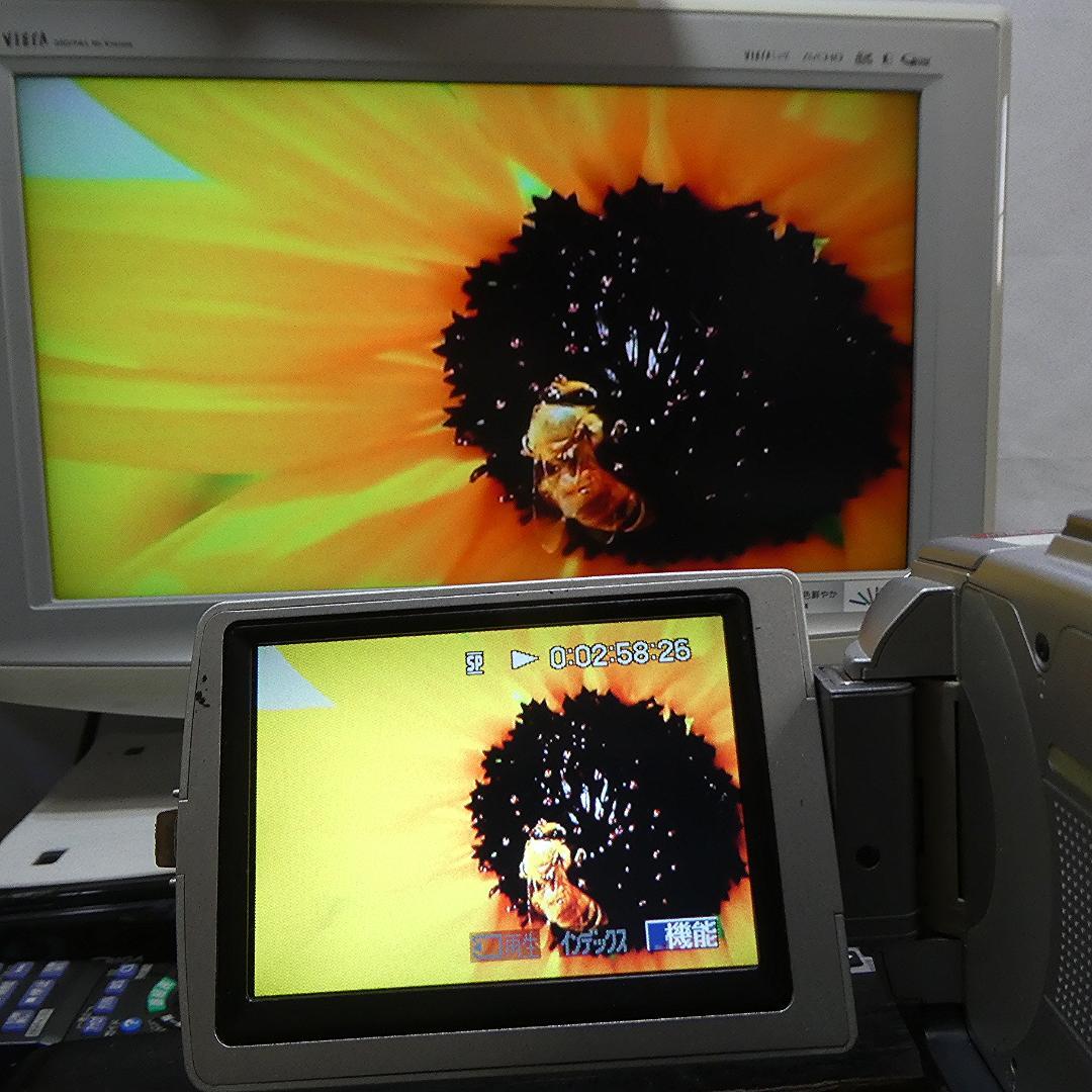 動作品ソニー DCR-TRV50 Mini DVビデオカメラDVDダビングに最適