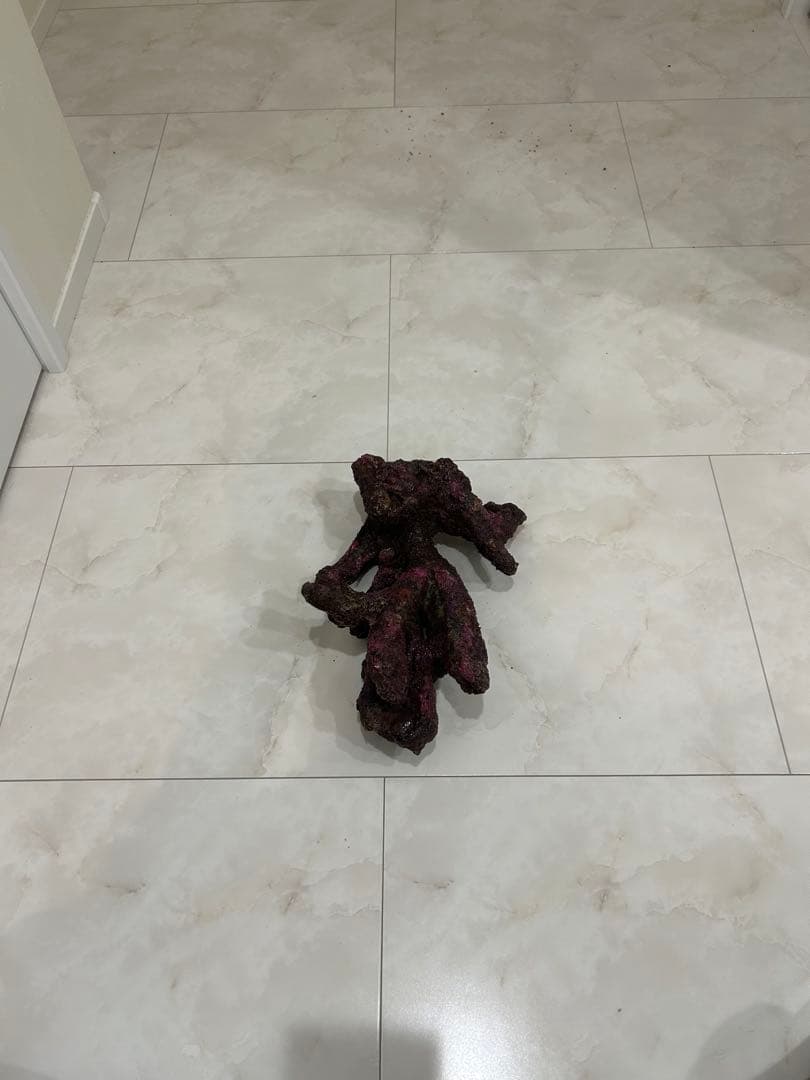 ORCA OCEAN ROCK 3個セット 人工ライブロック 海水魚