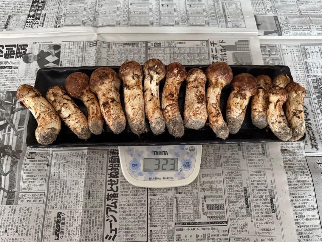 松茸　北海道　300g ⑤ 国産