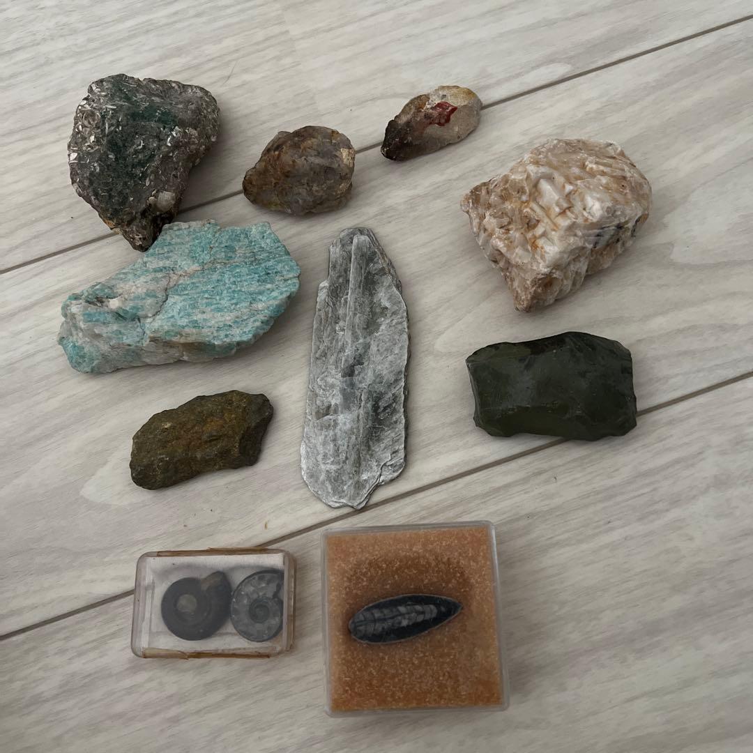 珍しい石&化石 セット アマゾナイトetc