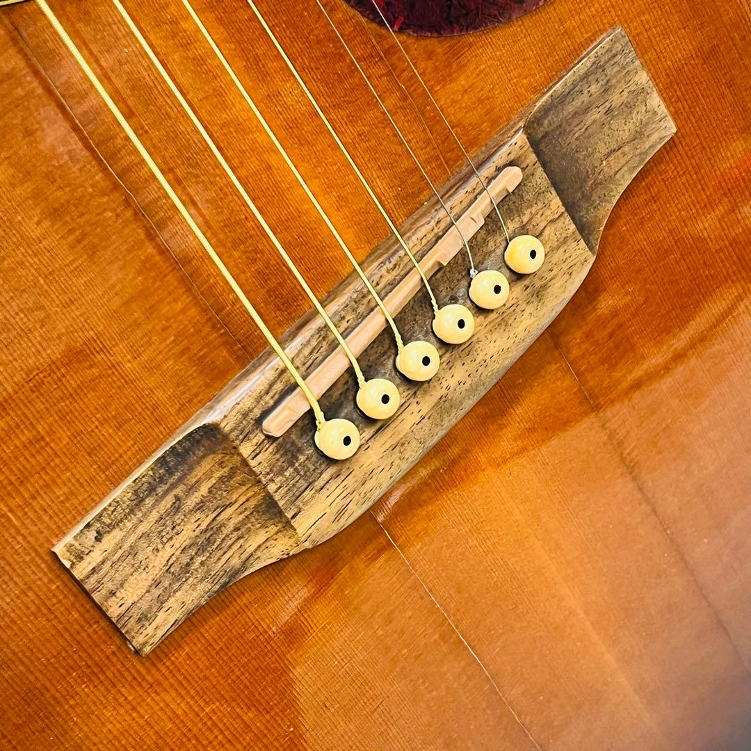 Headway ヘッドウェイ アコースティックギター HCF-40S