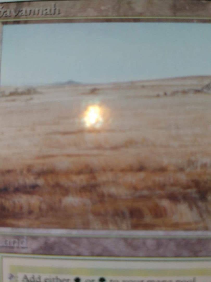 MTG  マジックザギャザリング  英語版　Savannah　サバンナ