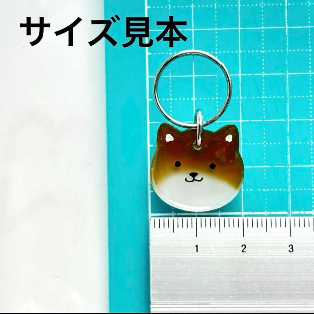 オーダー注文《 数量限定》柴犬種類選択 》迷子札　犬　名札