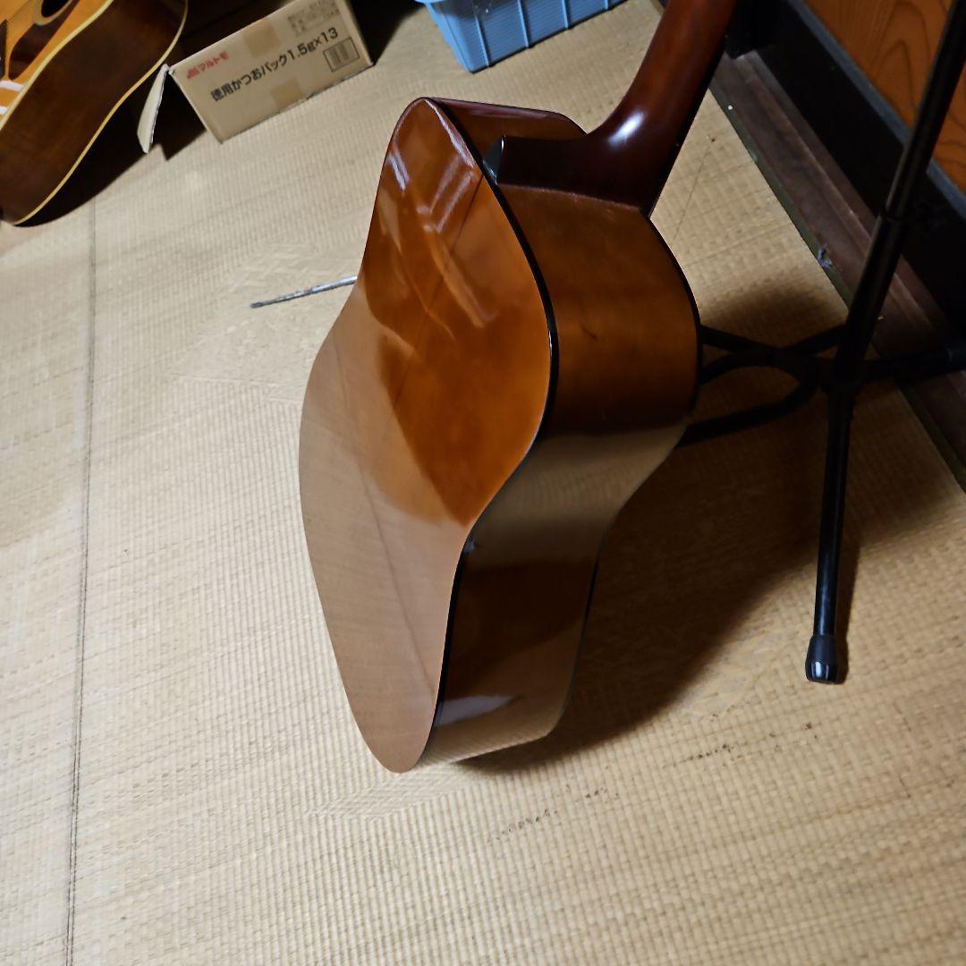 Morris アコースティックギター ドレッドノートMD501japan