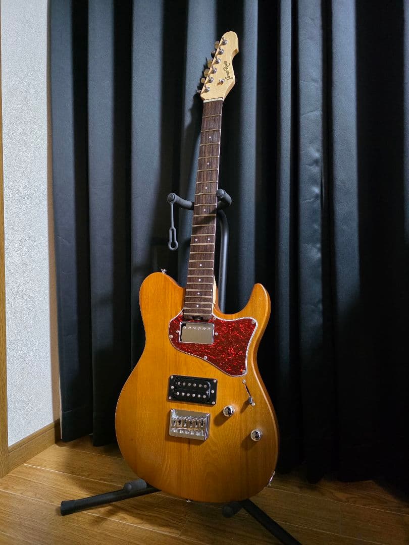 エレキギター テレキャスタータイプ エントリー向け