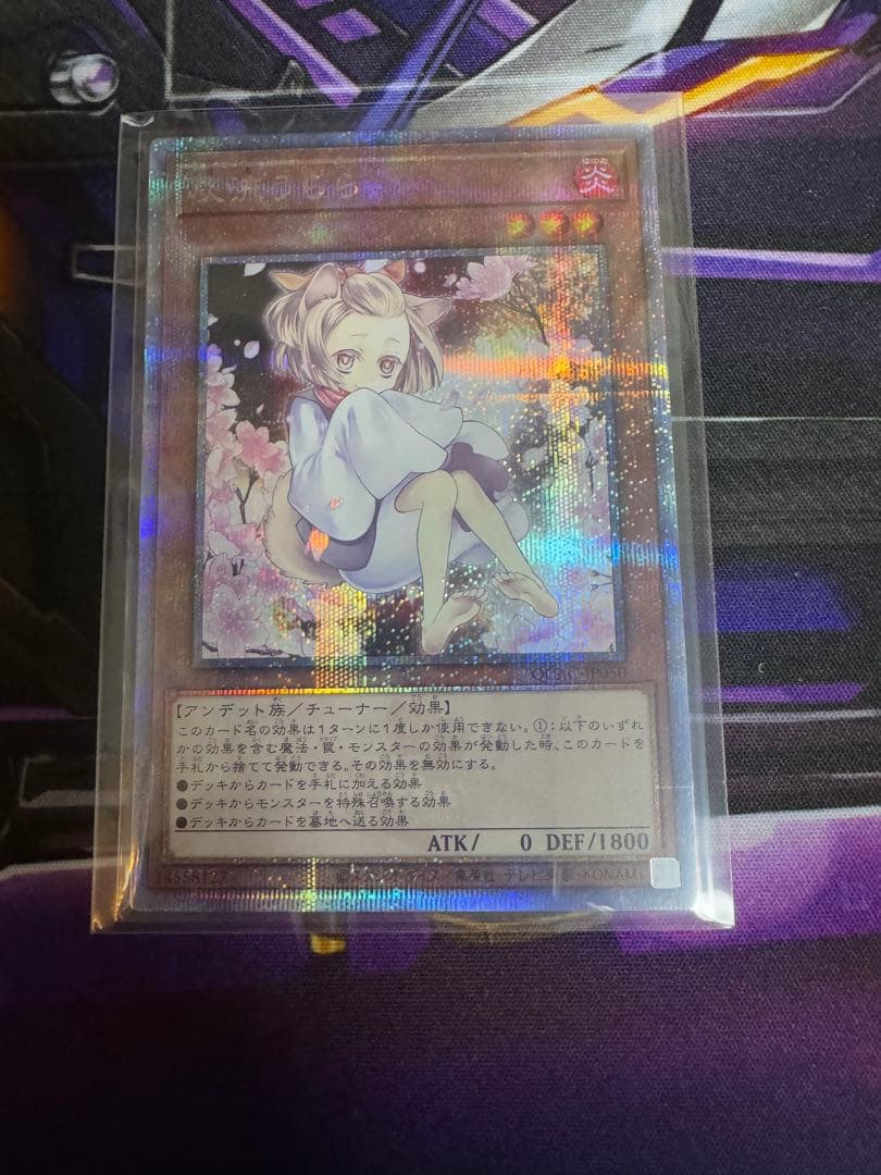 遊戯王　灰流うらら　絵違い　25thシークレット