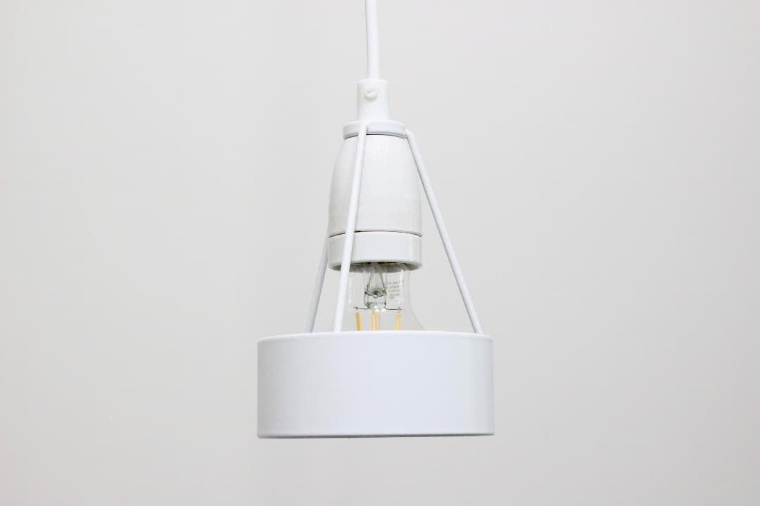 ルイスポールセン パークフース Pakhus ペンダントライト ランプ ②