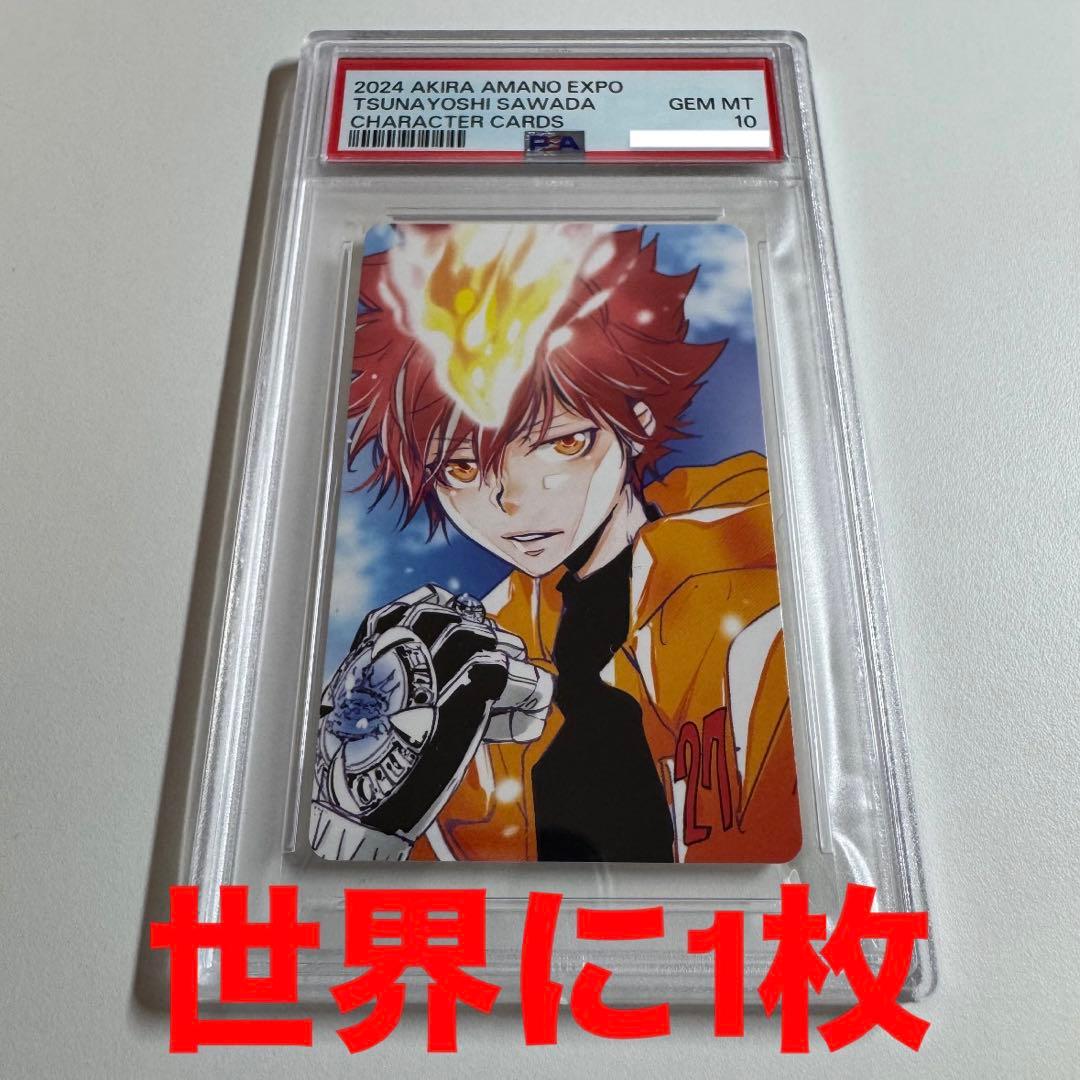 PSA10 超ツナ 自撮り 沢田綱吉