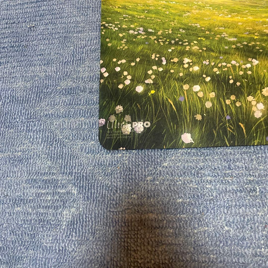 MTG 平地 John Avon サイン入り プレイマット