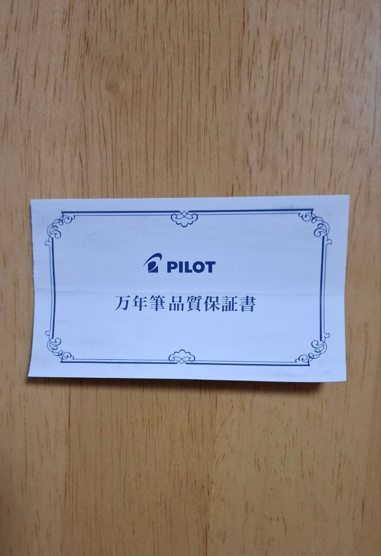 パイロット万年筆 FKK-1000R ペン先14K ディープレッド　ペンケース付