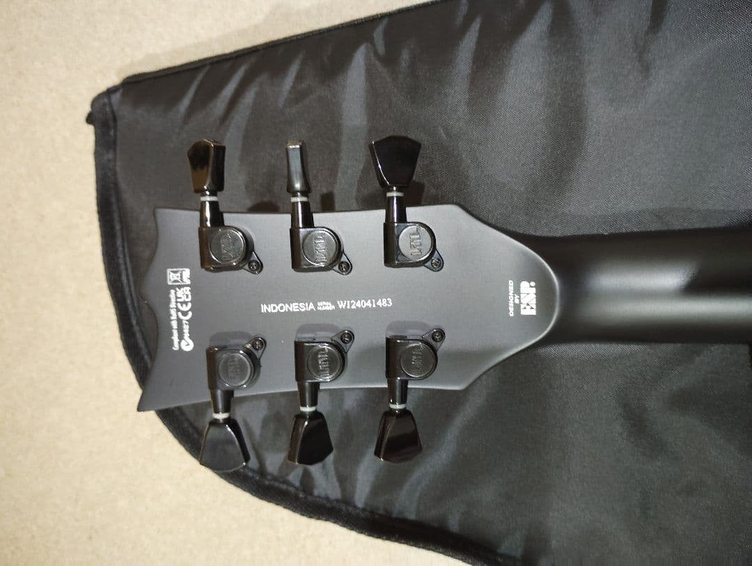 LTD　ECー201　Black Stain　ソフトケース付