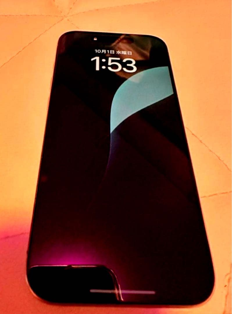 か*し様 iPhone15Pro本体＋純正充電器＋Apple純正イヤホン付き