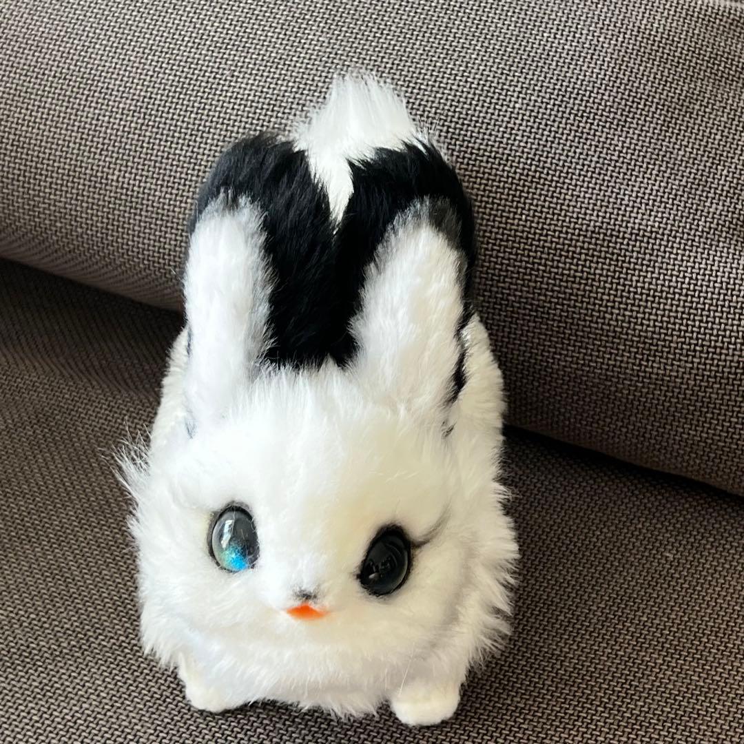 黎*様 作家様（テリトリドール様）アートドール　うみうさ