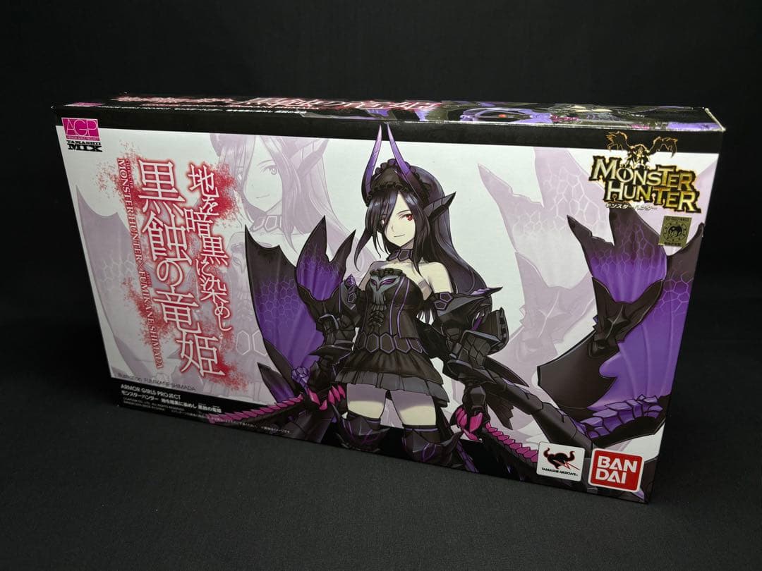 アーマーガールズプロジェクト　モンスターハンター 地を暗黒に染めし 黒蝕の竜姫