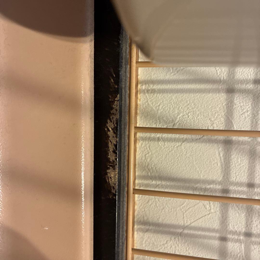 【2週間限定】ダブルケージ 引き出し式トレー付き