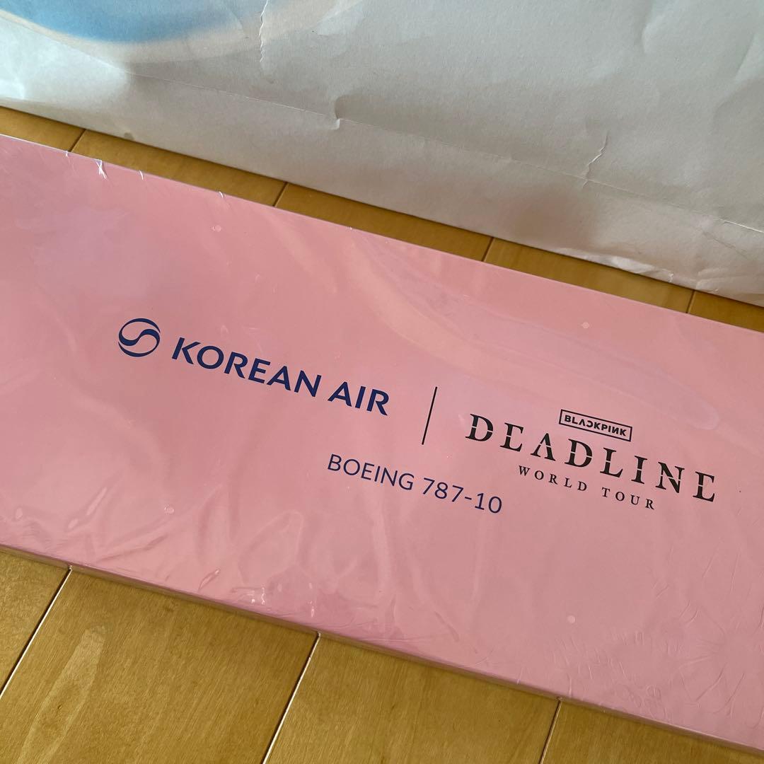 【非売品/当選品】BLACKPINK 大韓航空 特別塗装機 モデルプレーン 模型