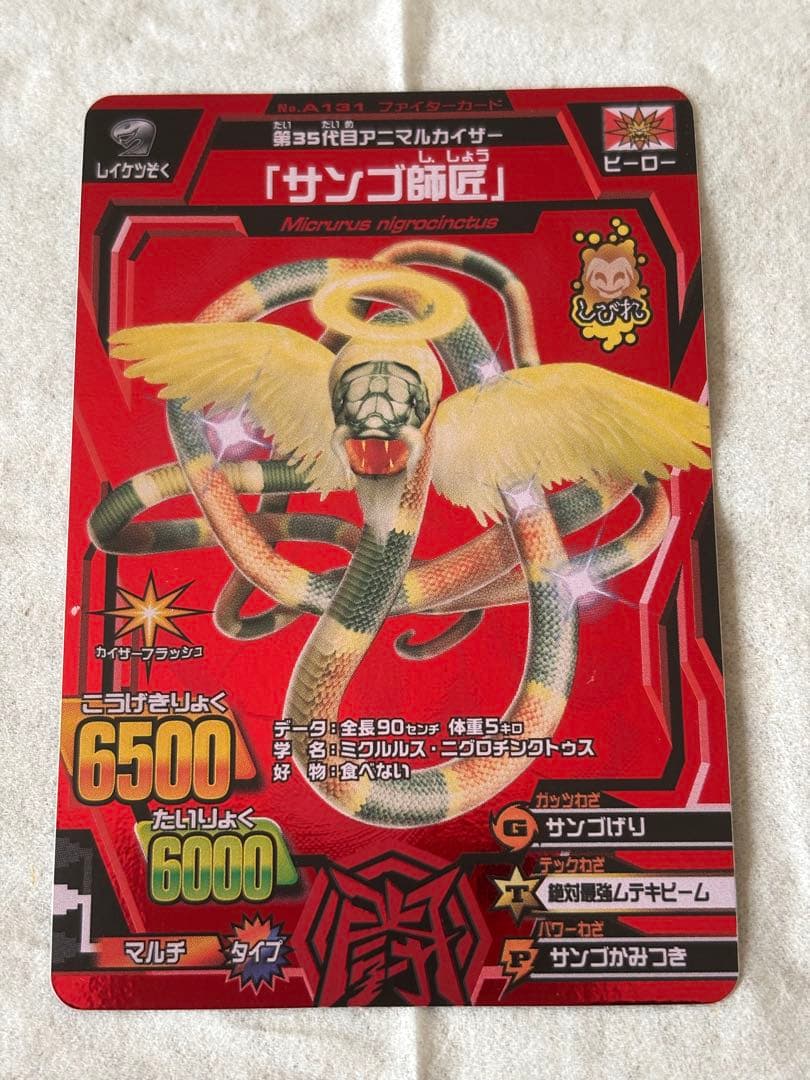 アニマルカイザー サンゴ師匠 激レア