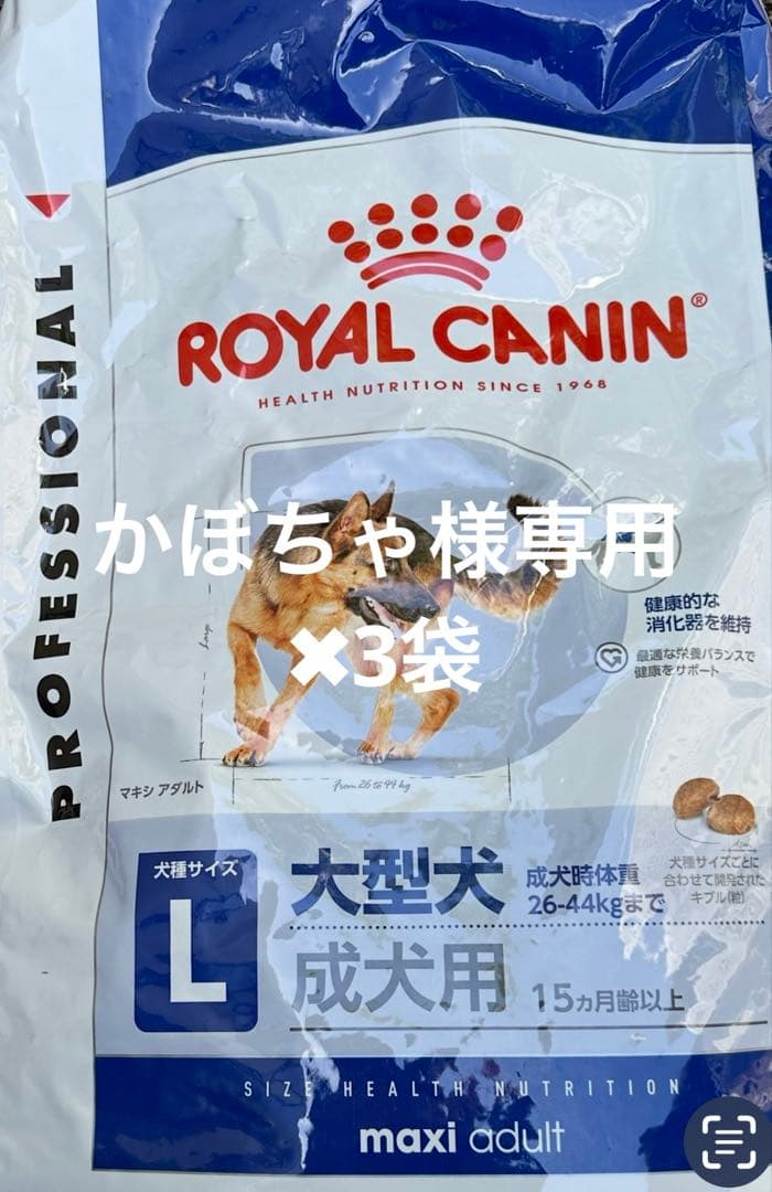  CANIN マキシアダルト大型犬用 大粒16キロドライフード