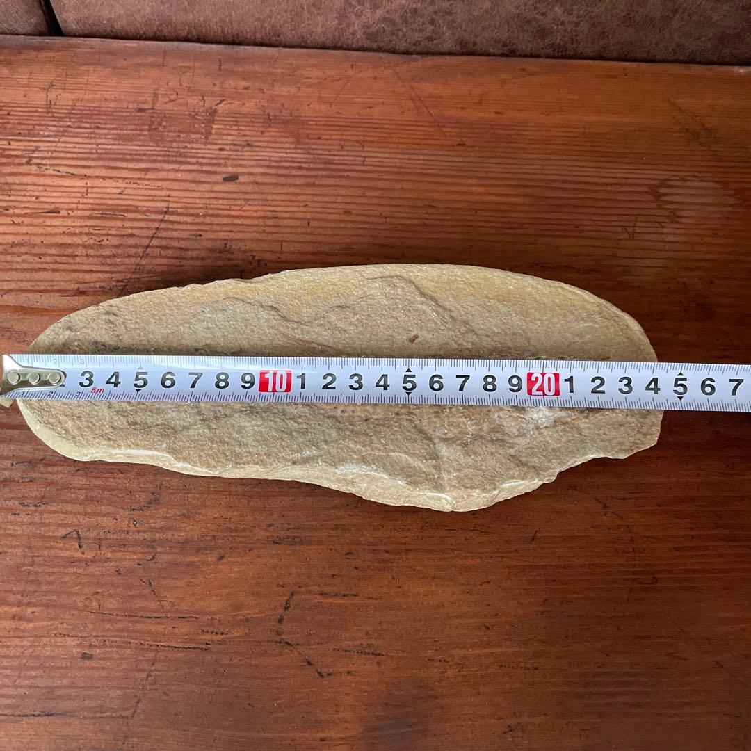 魚　化石　　古代魚