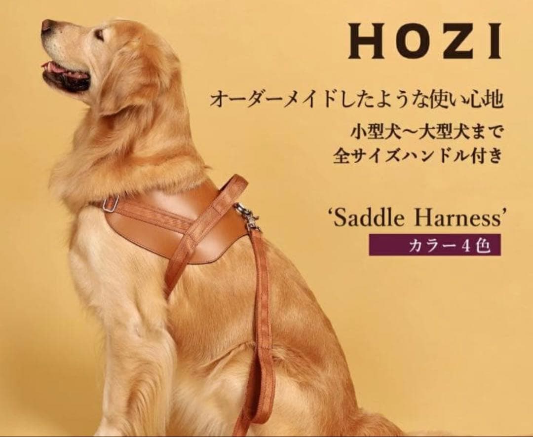 HOZI Saddle Harness バーガンディSサイズリード